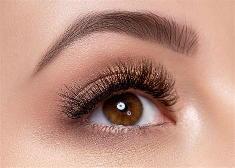 Eyebrow Tinting - Elite Styles and Beauty