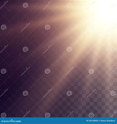 bright rays  light  sun spotlights lighting stock illustration illustration  text