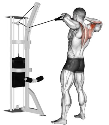 build  delts sculpt   prevent shoulder injury