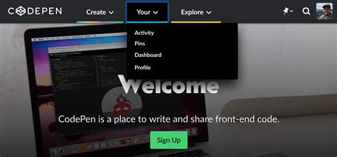 codepen    sidebar codepen blog