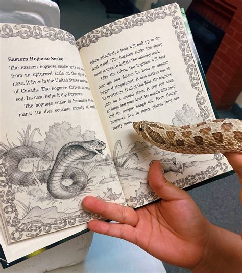 Sciensational Sssnakes