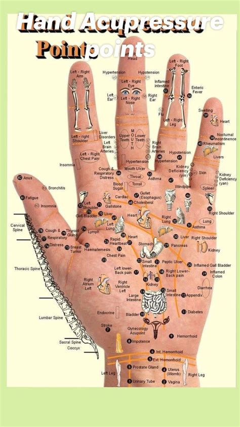 Hand Acupressure points | Hand reflexology, Reflexology chart ...