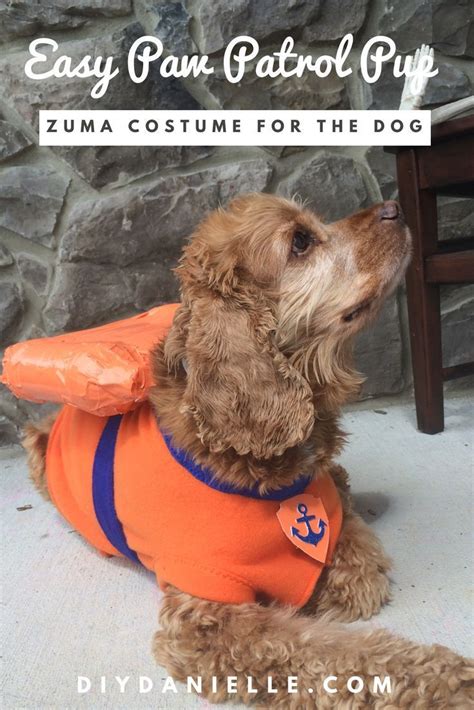 Paw patrol dog costume zuma – Artofit