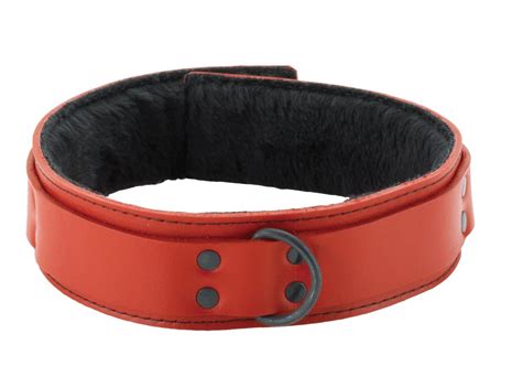 red leather collar  fur lining