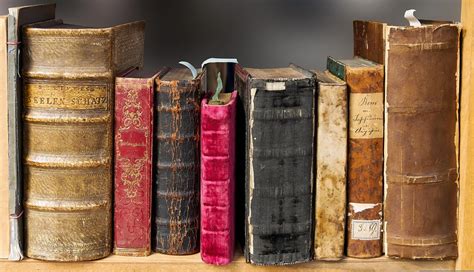photo book read  literature pages  image  pixabay