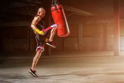 Mma Training Pictures | Download Free Images on Unsplash