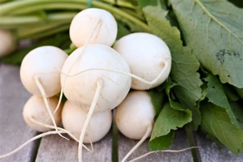 Turnips - 2 bunches | Daily Harvest Express