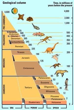 Geological Timeline | Geology, Geologic time scale, History of earth