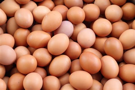 Eggs - Nutrition, Benefits, and Risks