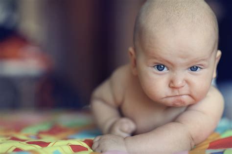 Infants know what we like best, study finds - The Source - Washington ...