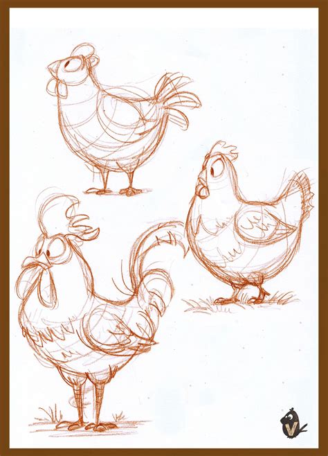 chickens drawing 5