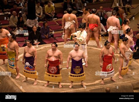 japanese sumo wrestling ceremony stock photo alamy