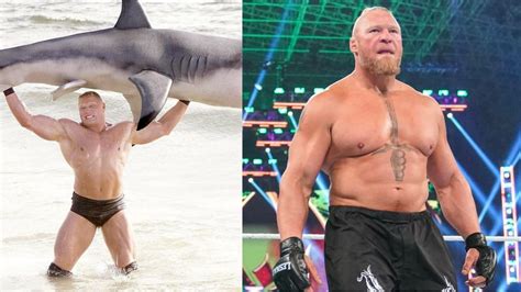 Did Brock Lesnar really F5 a shark?