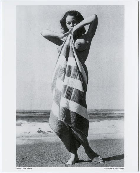 Diane Webber 5-piece Collector's Set of Lithos by Iconic - Etsy UK