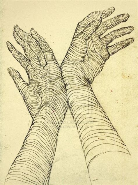 contour  drawing images  pinterest