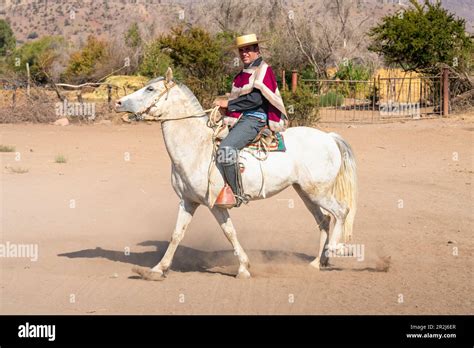 Huaso riding horse at ranch on sunny day, Colina, Chacabuco Province ...