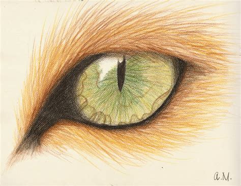 Lion eye by smixova on DeviantArt
