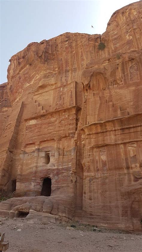 Petra World Heritage Site (Petra - Wadi Musa): 2019 All You Need to ...