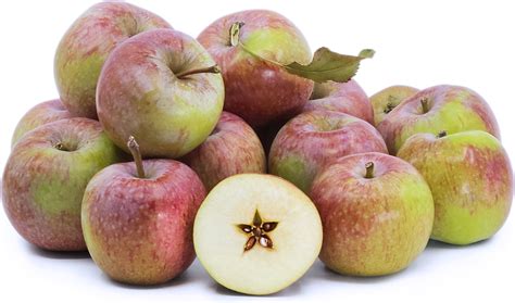 Blue Pearmain Apples Information and Facts