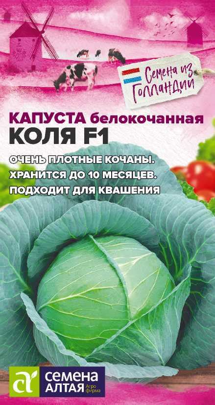 Капуста