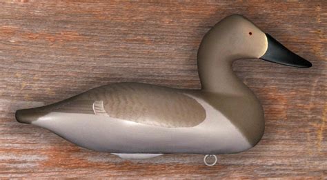 canvasback hen bodt decoys