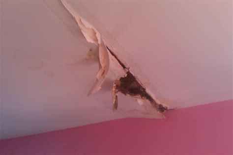 The Birmingham Handyman - water damaged drywall ceiling
