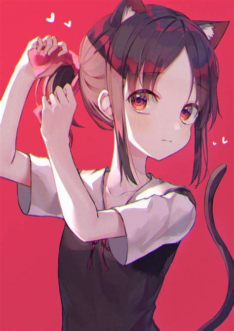 Neko-sama : r/Kaguya_sama
