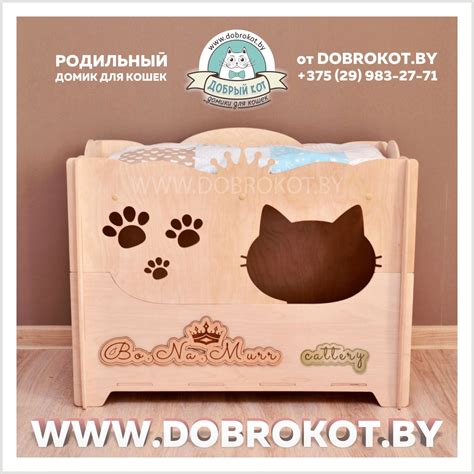 Родильный домик для кошки своими руками из фанеры чертежи - картинки и ...