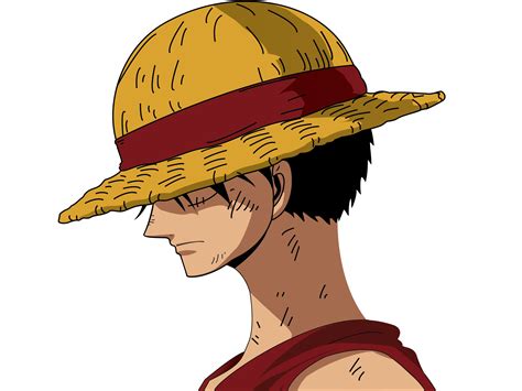 Luffy one piece - rodenvine