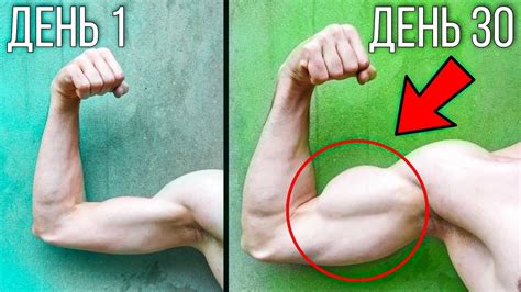 Используй Эти Упражнения Чтобы Накачать Руки (Только В Домашних ...