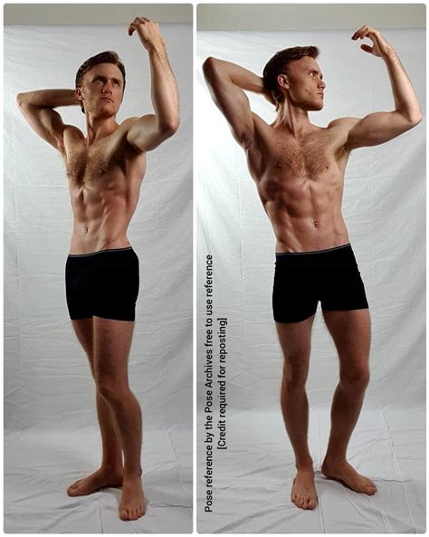 Male Anatomy Standing Arms Up Reference by theposearchives on DeviantArt