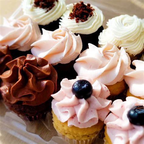 Mini Cupcakes - Your Source for Allergy-Friendly Treats