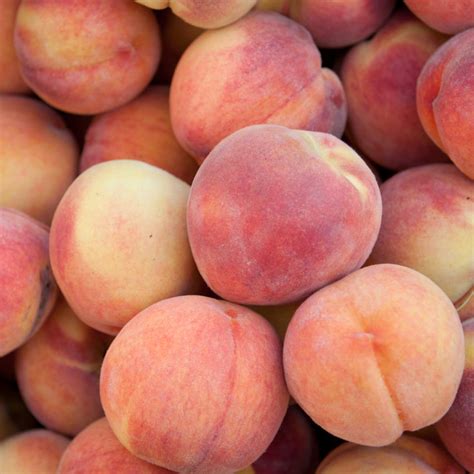 Miss Peaches Box (13 ct) | Miss Peaches Peaches