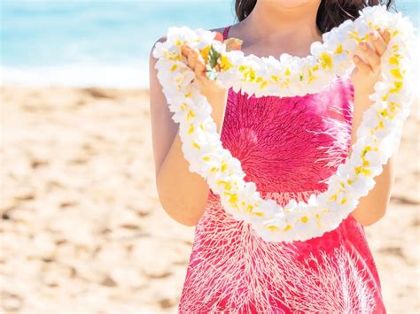 What Every Traveler Needs to Know Before Visiting Anonib Hawaii - ecgye99