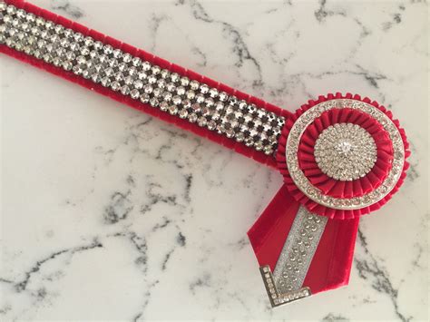 EERS – Red Swarovski Bling Browband – Elite Equine