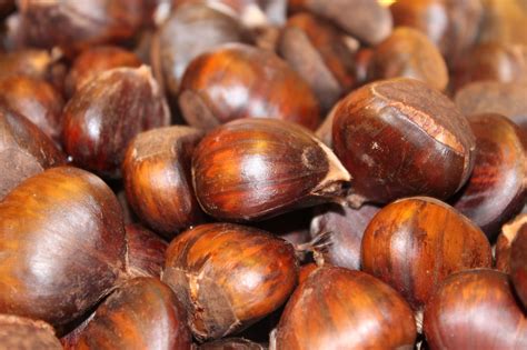 Boiled Chestnuts Cooked - Free photo on Pixabay - Pixabay