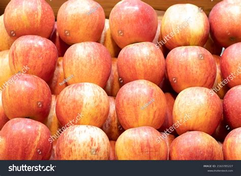 light red apple fruit background stock photo  shutterstock