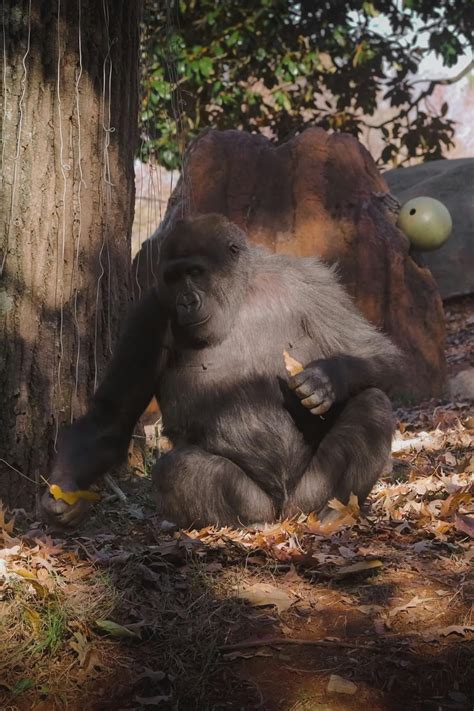 Anime+Twerk Videos, Download The BEST Free 4k Stock Video Footage