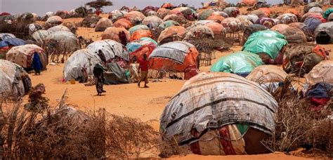 How can Africa feed itself in times of drought and war? | DW News - Gambia