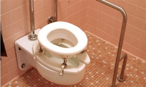 The 7 Best Raised Toilet Seats With Handles