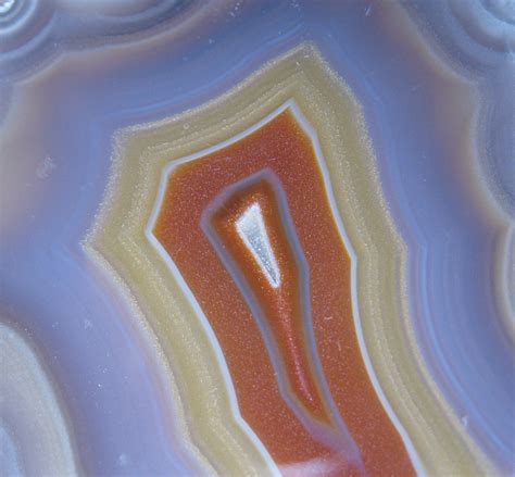 A massive museum wing will soon be dedicated to the life of Aristides 10