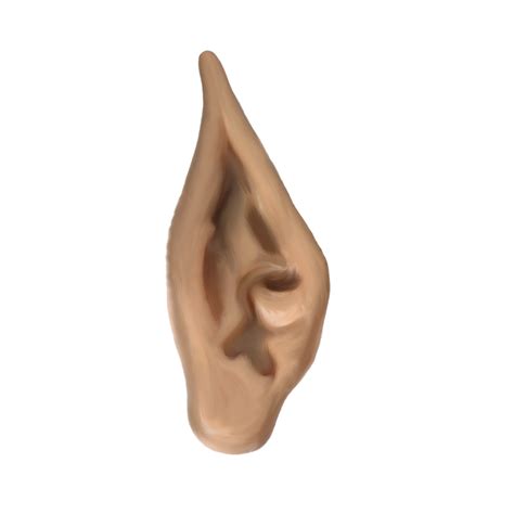 Png Elf Ear by Moonglowlilly on DeviantArt