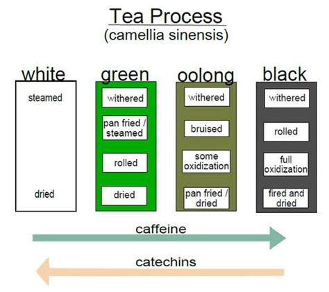 Tea Processing