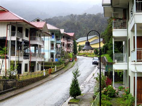 Everyday Swing (20120314 ~ Hidden Valley, Tembagapura, Papua Miss...)