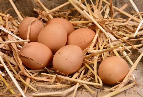 premium photo fresh eggs