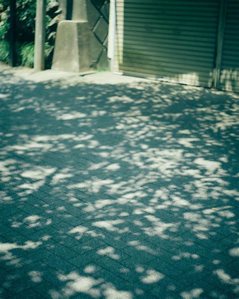 Akira Saiki / 齋木 爽 (@saiki_akira) • Instagram photos and videos