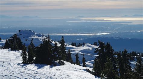 The best places to go snow tubing near Vancouver this winter | Curated