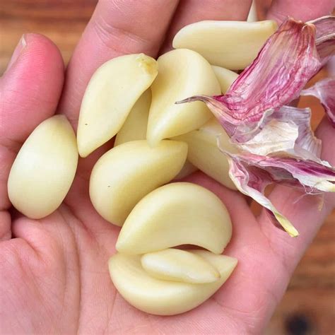 chopped garlic clove