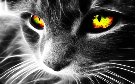 Rainbow Cat Wallpapers - Wallpaper Cave