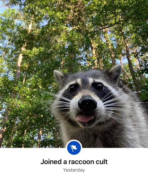 Kayley (@short_mcnugget) on Threads